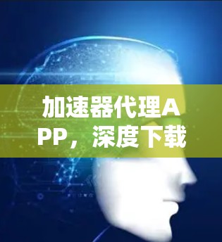 加速器代理APP，深度下载优化与流畅体验