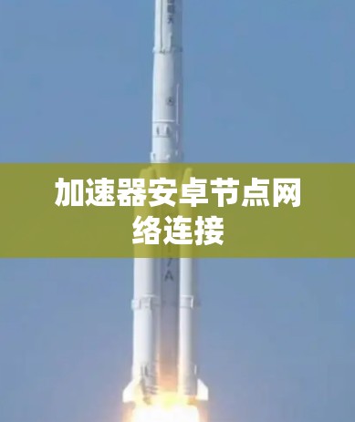 加速器安卓节点网络连接