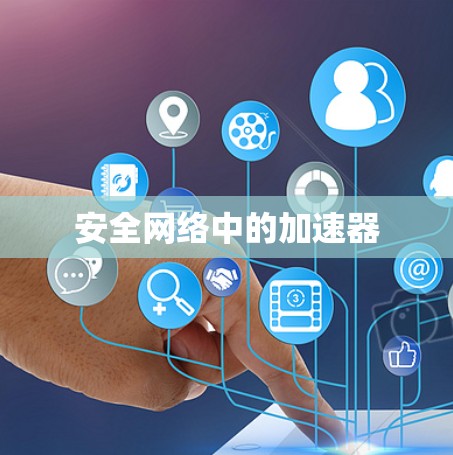 安全网络中的加速器