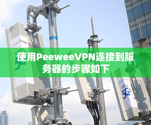 使用PeeweeVPN连接到服务器的步骤如下