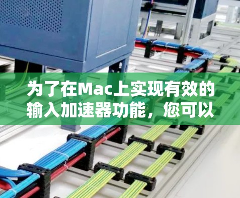 为了在Mac上实现有效的输入加速器功能，您可以按照以下步骤操作