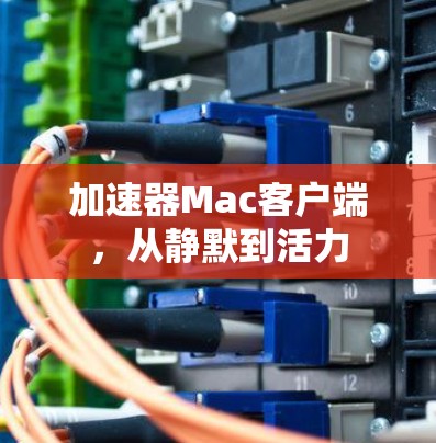 加速器Mac客户端，从静默到活力