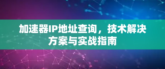 加速器IP地址查询，技术解决方案与实战指南
