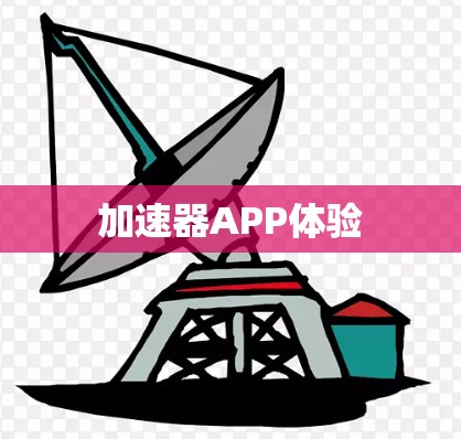 加速器APP体验