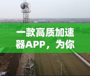 一款高质加速器APP，为你的下载速度提供保障
