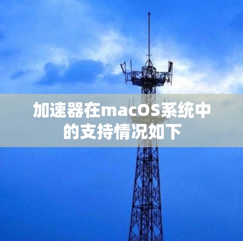 加速器在macOS系统中的支持情况如下