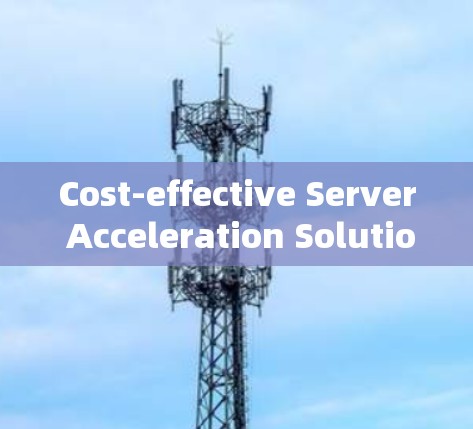 Cost-effective Server Acceleration Solutions:为提升性能而选择的最佳选择