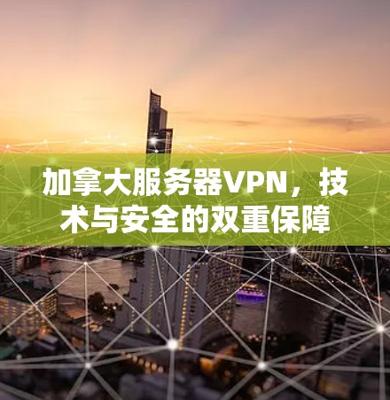 加拿大服务器VPN，技术与安全的双重保障