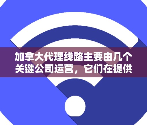 加拿大代理线路主要由几个关键公司运营，它们在提供国际物流、技术解决方案和合作服务方面具有显著的优势。以下是加拿大主要的代理公司及其主要业务