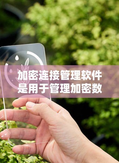 加密连接管理软件是用于管理加密数据或连接的工具，如加密文件、邮件和网络连接。以下是详细的分析和建议
