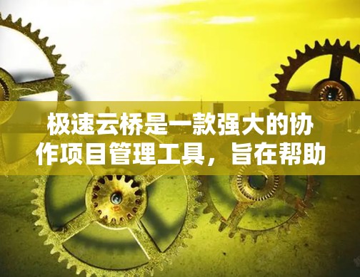 极速云桥是一款强大的协作项目管理工具，旨在帮助团队高效、便捷地完成项目管理任务。以下是对极速云桥的使用指南，分为几个主要部分，帮助您轻松上手