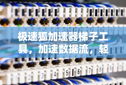 极速狐加速器梯子工具，加速数据流，轻松应对网络挑战