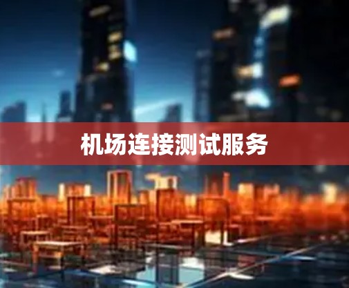 机场连接测试服务