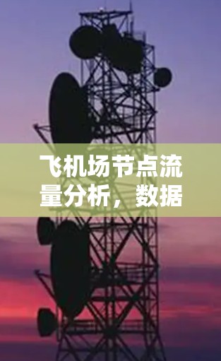 飞机场节点流量分析，数据传输与网络性能的双刃剑