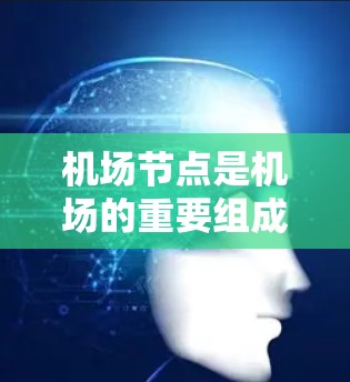 机场节点是机场的重要组成部分，每个节点有不同的服务和特点。以下是对几个主要机场节点的对比分析