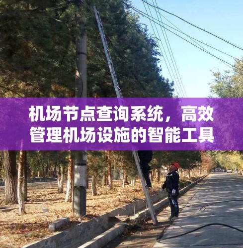 机场节点查询系统，高效管理机场设施的智能工具