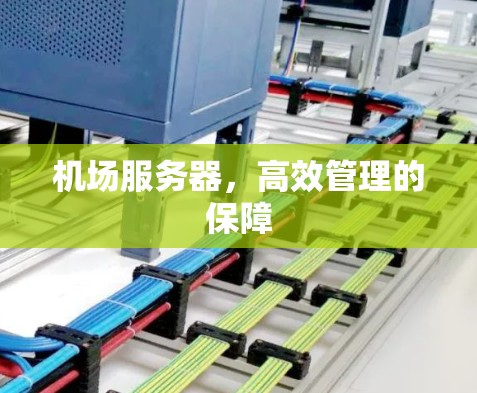 机场服务器，高效管理的保障