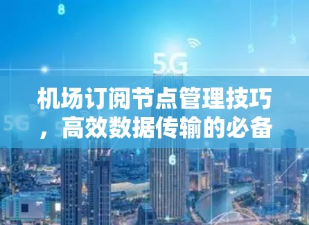 机场订阅节点管理技巧，高效数据传输的必备技能