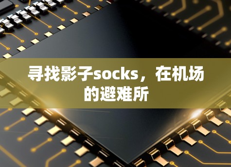 寻找影子socks，在机场的避难所