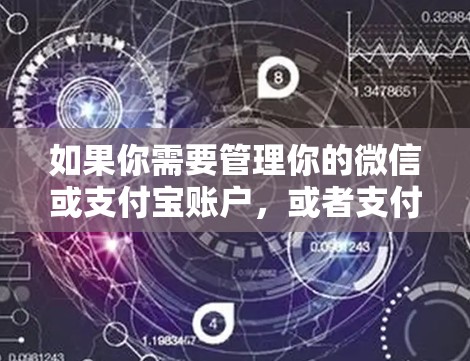 如果你需要管理你的微信或支付宝账户，或者支付功能，可以考虑以下华人外网工具