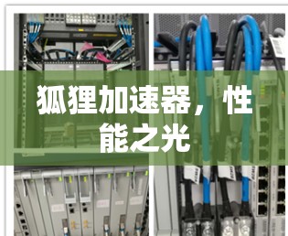 狐狸加速器，性能之光