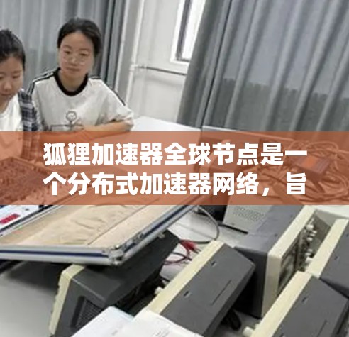 狐狸加速器全球节点是一个分布式加速器网络，旨在提升机器学习模型训练的效率和性能。以下是对该项目的主要内容的详细分析