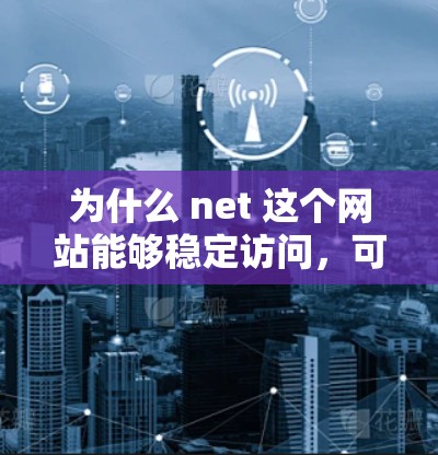 为什么 net 这个网站能够稳定访问，可以从多个角度进行分析