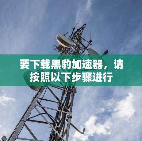 要下载黑豹加速器，请按照以下步骤进行