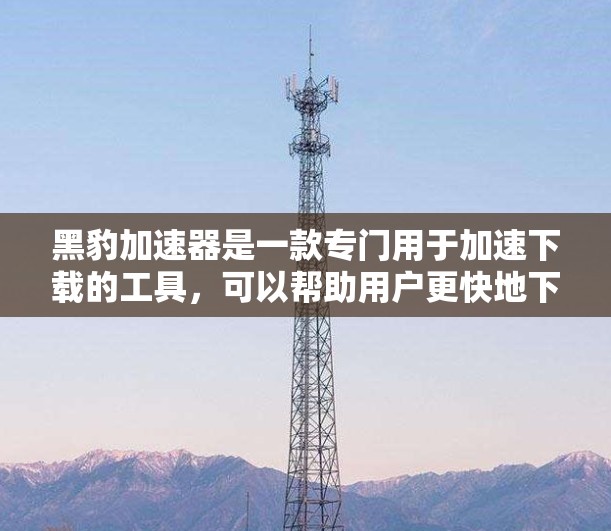 黑豹加速器是一款专门用于加速下载的工具，可以帮助用户更快地下载各种资源。以下是关于黑豹加速器客户端的详细信息