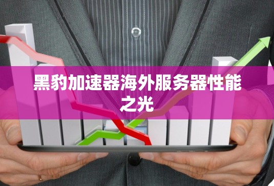 黑豹加速器海外服务器性能之光