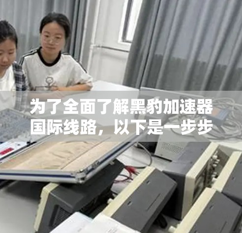 为了全面了解黑豹加速器国际线路，以下是一步步的整理和总结
