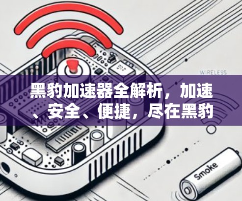 黑豹加速器全解析，加速、安全、便捷，尽在黑豹
