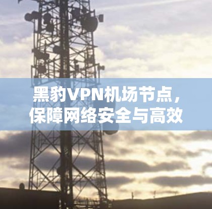 黑豹VPN机场节点，保障网络安全与高效通信的关键点
