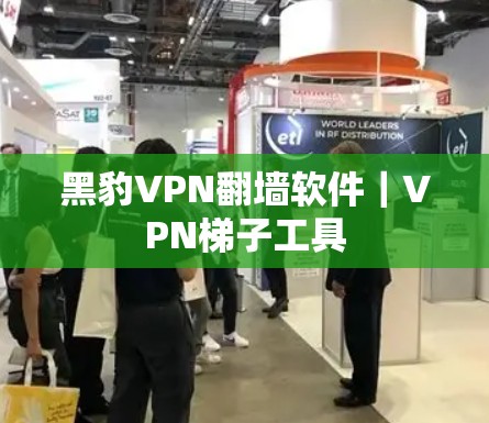 黑豹VPN翻墙软件｜VPN梯子工具