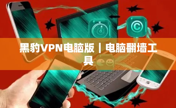 黑豹VPN电脑版｜电脑翻墙工具