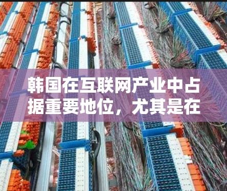 韩国在互联网产业中占据重要地位，尤其是在网络设备和服务领域。韩国有多个高科技公司进入互联网和移动互联网领域，这些公司通过技术创新和市场拓展，逐步发展成为重要的网络设备供应商和代理企业