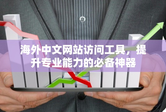 海外中文网站访问工具，提升专业能力的必备神器