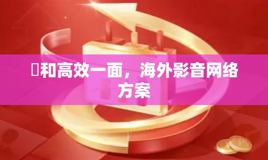 渓和高效一面，海外影音网络方案