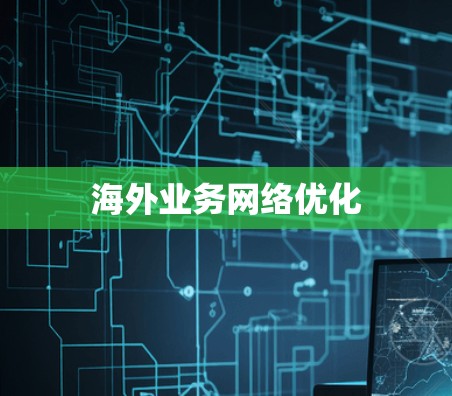 海外业务网络优化