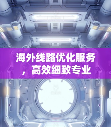 海外线路优化服务，高效细致专业