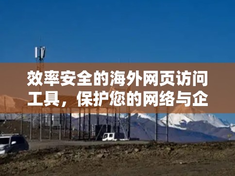 效率安全的海外网页访问工具，保护您的网络与企业数据