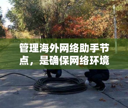 管理海外网络助手节点，是确保网络环境稳定和安全性的重要步骤。以下是一个有序的总结，帮助您更好地理解和操作