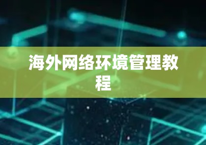 海外网络环境管理教程
