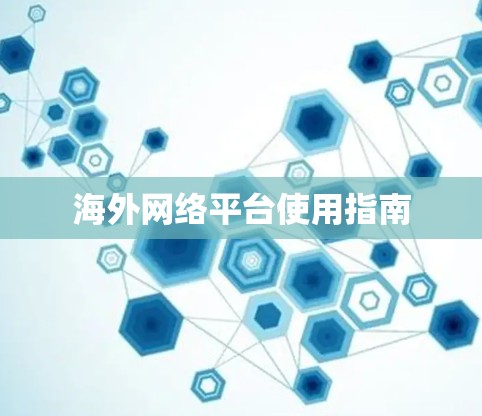 海外网络平台使用指南