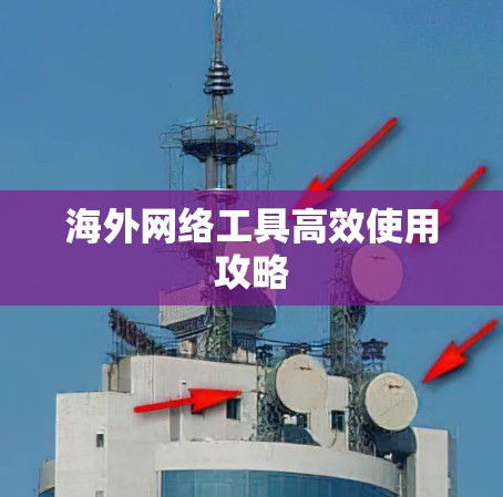 海外网络工具高效使用攻略