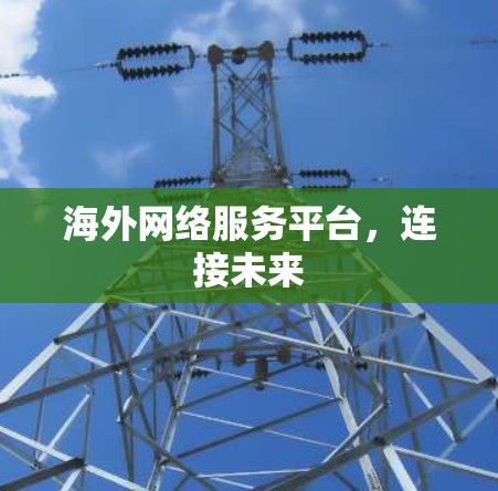 海外网络服务平台，连接未来