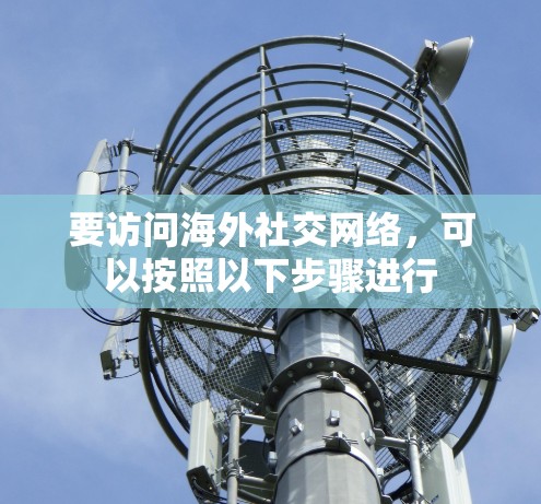 要访问海外社交网络，可以按照以下步骤进行
