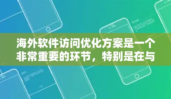 海外软件访问优化方案是一个非常重要的环节，特别是在与国际客户或合作伙伴合作时，需要确保软件访问的高效性和安全性。以下是一些常用的海外软件访问优化方案