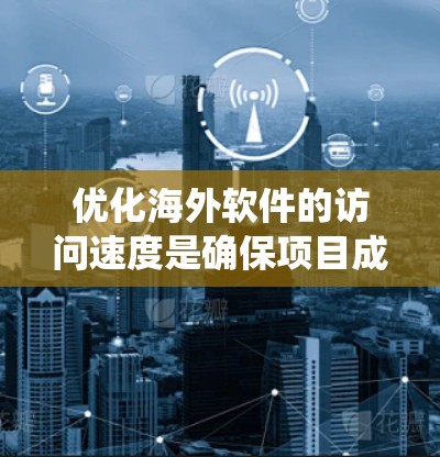 优化海外软件的访问速度是确保项目成功的重要步骤。通过系统性地分析网络、软件、硬件和部署环境，逐步优化，可以显著提升性能。以下是对上述步骤的总结和实施建议