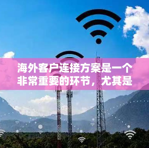 海外客户连接方案是一个非常重要的环节，尤其是在国际业务中，能够帮助商家建立与目标客户的有效联系，提升客户粘性和忠诚度。以下是一个全面的海外客户连接方案的框架，涵盖从客户获取到客户维护的全过程